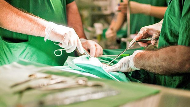 Hansı orqanlar transplantasiya edilə bilər? - Azərbayanda yeni qanun