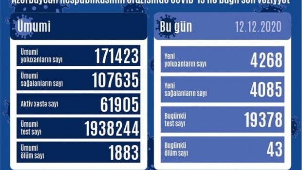 Azərbaycanda bir gündə 43 nəfər həyatını itirdi