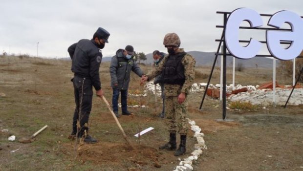 Cəbrayılda Şərq çinarları əkildi 