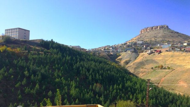 Zibilliyi meşəyə çevirən türk - FOTO