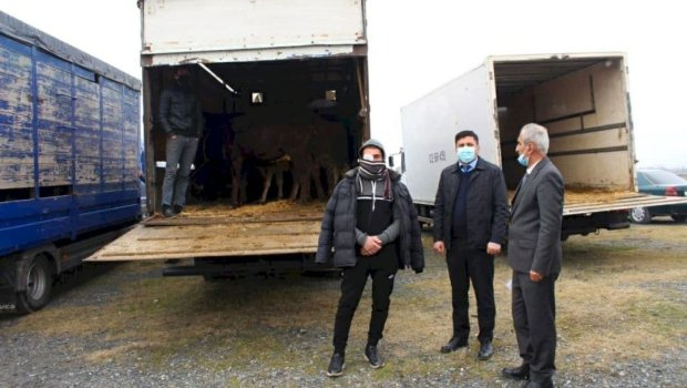 Şəhid ailələri və qazilər üçün təsərrüfatlar yaradıldı - FOTO