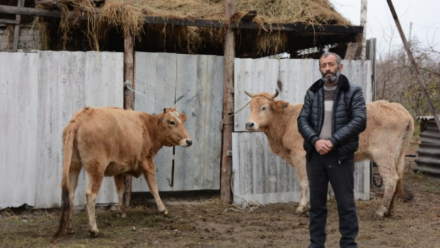 Şəhid ailələri və qazilər üçün kiçik təsərrüfatlar yaradılır