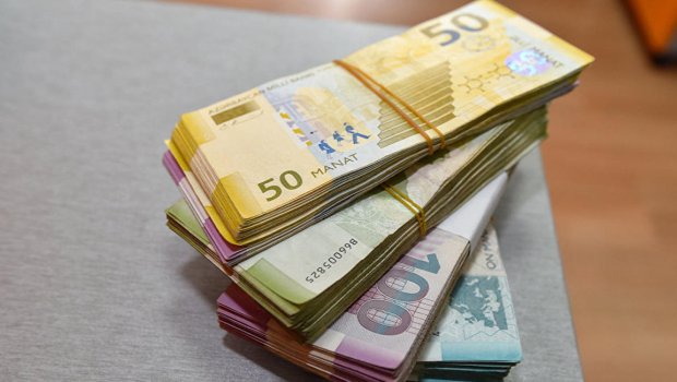 Gələn il işsizlər üçün 13 milyon ayrılacaq - SIĞORTA FONDU