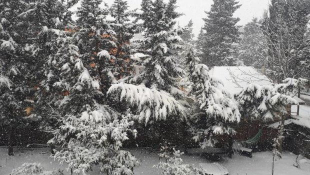 Şəkiyə 27, Qaxa 25 sm qalınlığında qar yağıb