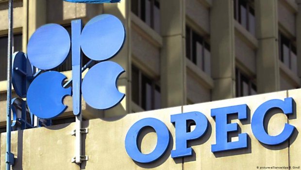 OPEC Prezidentin ad gününü təbrik etdi