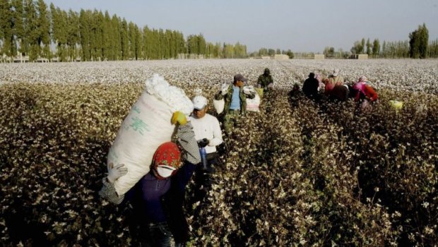 Fransadan Çinə xəbərdarlıq: Uyğur türklərinin problemləri həll olunmasa...