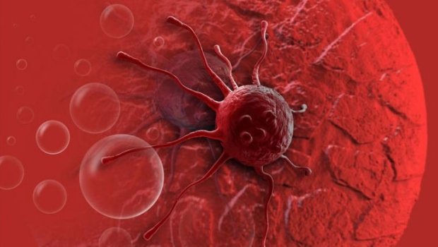 Xərçəngin əlacı bu məhsuldadır - ELMİ ARAŞDIRMA