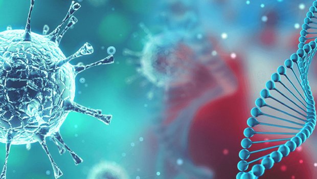 Dünyanın COVID-19 STATİSTİKASI