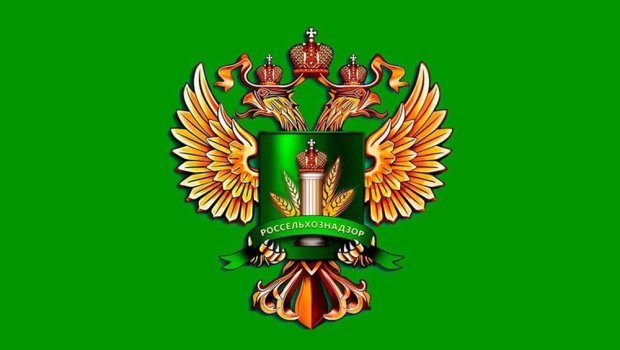 Azərbaycanın 15 müəssisəsinin Rusiyaya pomidor ixracına icazə verildi