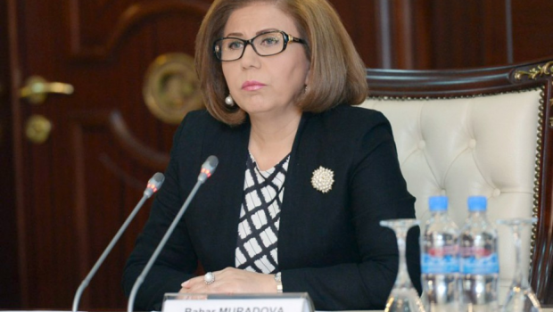 Kişilərin 49,5 faizi qızları yük kimi qəbul edir - Komitə sədri