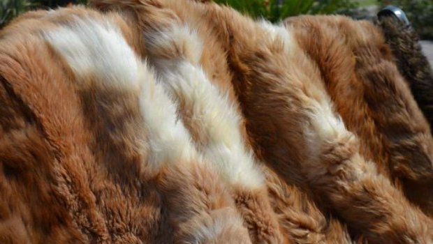 Təbii xəzdən hazırlanan əşyaların satışına - QADAĞA