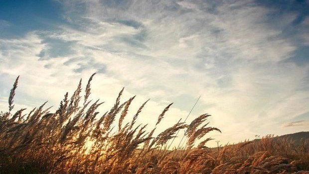 Sabaha olan hava proqnozu