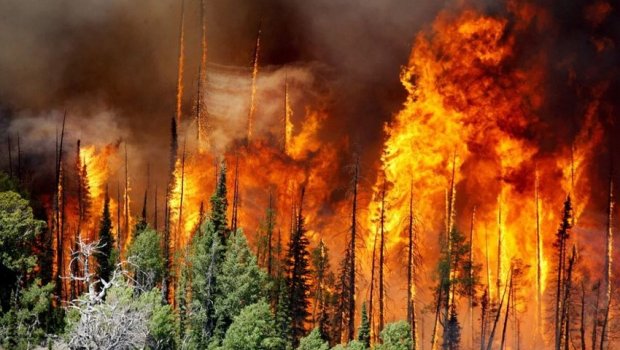 Astarada qayalıq ərazidə yanğın başlayıb