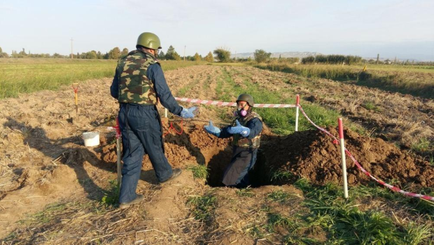 ANAMA 600-dən çox mina zərərsizləşdirdi
