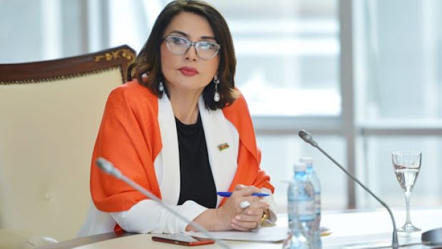 Jalə Əliyeva inkar etdi: “O fikri mən səsləndirməmişəm”