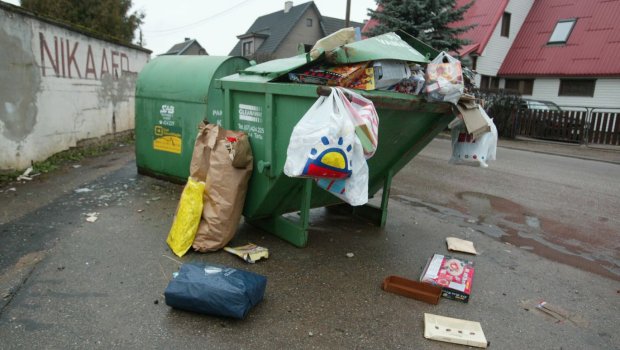 Bu məşhur zibil qutusundan yemək axtardı - FOTO