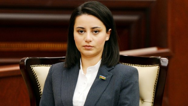 Üçtərəfli bəyanatın iqtisadi tərəfi: \