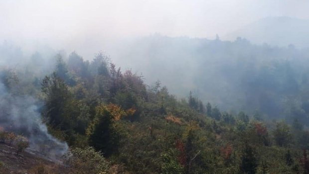 Hirkan yanmaqda davam edir - Hava ciddi maneə yaradır