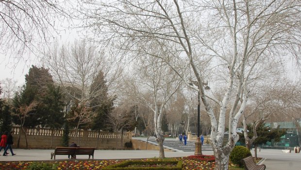 Bakıda sabah 8 dərəcə isti olacaq