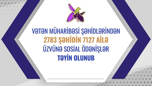 2 783 şəhidin ailə üzvünə sosial ödənişlər təyin olundu
