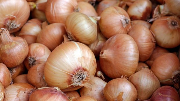 Qazaxıstandan alınan 650 ton soğan yararsız çıxdı
