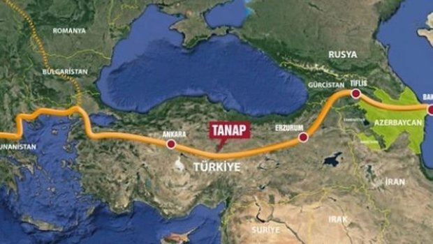 İtaliyanın Azərbaycana hansı faydaları ola bilər - İqtisadçı alim danışdı