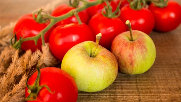 Rusiyaya alma və pomidor ixrac edə biləcək müəssisələrin sayı açıqlandı