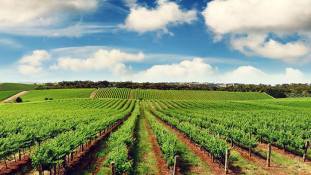 Avropa İttifaqı Gəncədə layihə maliyyələşdirdi