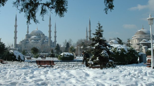 İstanbulda qarın fəsadları: 218 ağac kökündən çıxdı, 7 binanın damı çökdü...