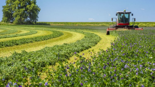 ''Azərbaycana daha 4,36 mln. ABŞ dolları veriləcək'' - Dünya Bankı