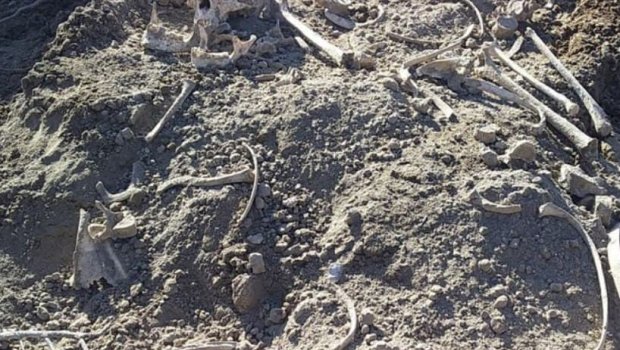 Ağdamda qazıntı zamanı insan qalıqları tapıldı