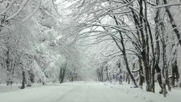Qaxda 47 sm qar, Bakıda 5 dərəcə şaxta - Faktiki hava