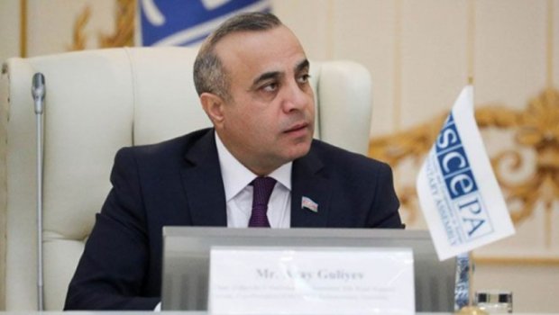 ATƏT PA-da Xocalı canilərinin cəzalandırılması tələb edildi – VİDEO