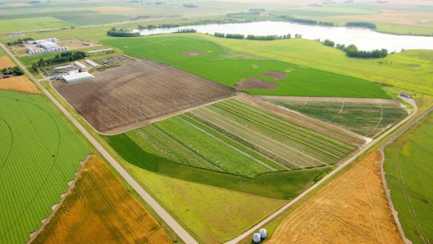 Artıq Qarabağda kənd təsərrüfatı fəaliyyətinə başlanılıb – Prezidentdən DETALLAR