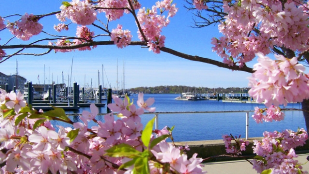 Sabahın hava PROQNOZU