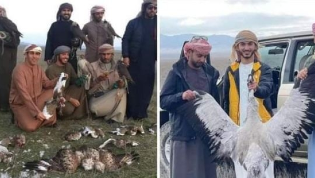 ''Postlar qurulub ki, ərəblər orada hərəkət etməsinlər'' - Nazirlikdən quş ovuna AÇIQLAMA 