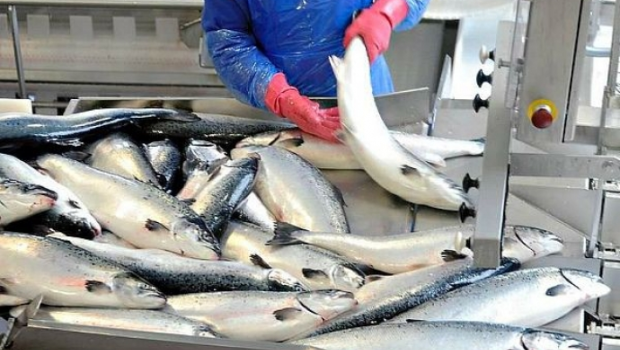 “Az Fish” şirkətinin vəzifəli şəxslərinə cinayət işi açıldı