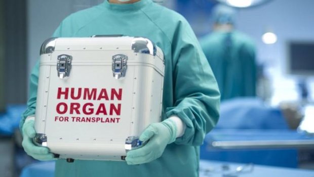 Folekul donorluğu yoxsa orqan alveri? – Sosial şəbəkələrdə açıq bazar - FOTOFAKT