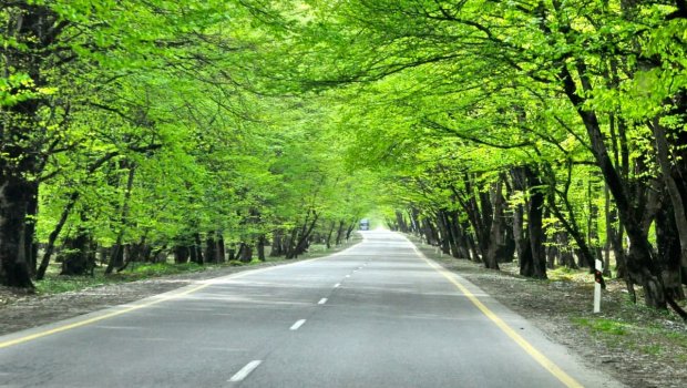 İsmayıllı-Qəbələ yolu bağlandı - FOTO