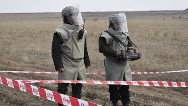 “Ermənilər minaları məhsuldar torpaqlara basdırıb” - Hikmət Hacıyev