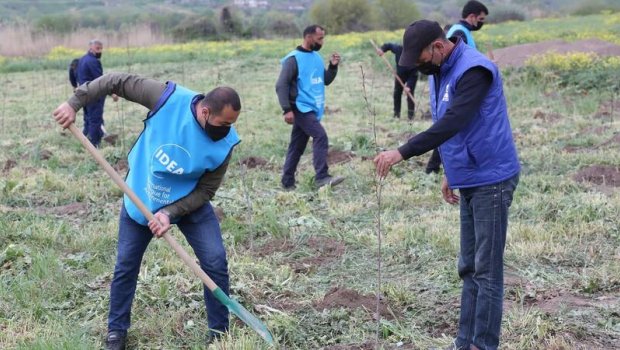 “Yaşıl Marafon” çərçivəsində Cəbrayıl və Qubadlı rayonlarında ağacəkmə aksiyası keçirilib - FOTO