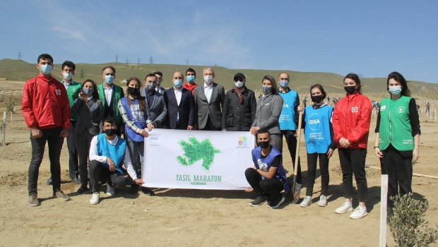 “Yaşıl Marafon” layihəsi çərçivəsində Bakıda ağacəkmə aksiyası keçirildi - FOTO