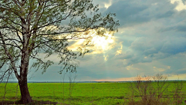 Sabahın hava proqnozu 