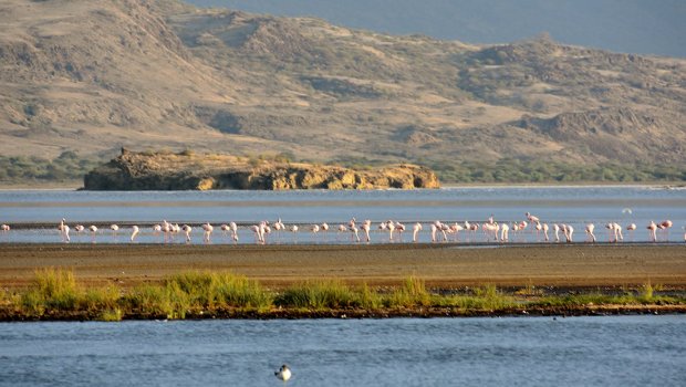 Bu göl quruyur - Nazirlik AÇIQLADI