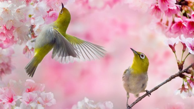 Şənbə gününün hava PROQNOZU