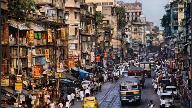 Hindistanlı deputatdan koronavirusa yeni çarə - FOTO