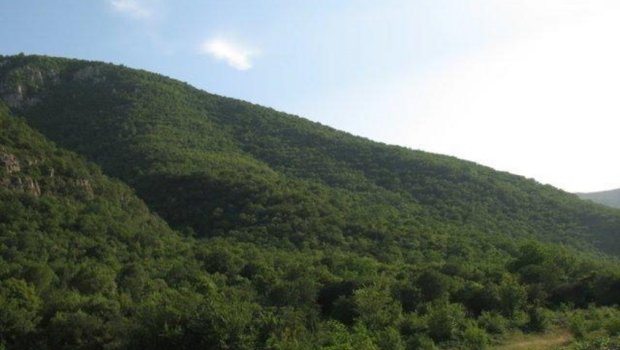 DSX işğaldan azad olunmuş ərazilərə media-tur təşkil etdi