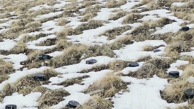 Ombudsman Aparatından Kəlbəcərdəki “mina tarlası” ilə bağlı AÇIQLAMA 