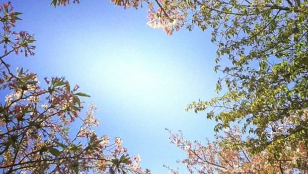 Sabahın hava PROQNOZU