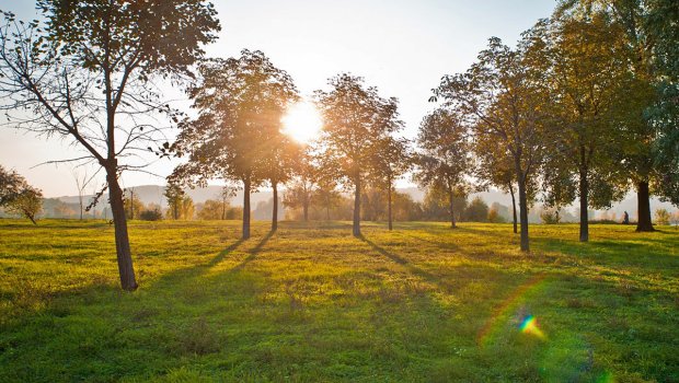 May ayının rekord istisi – Aran rayonlarında 37 dərəcə isti olacaq